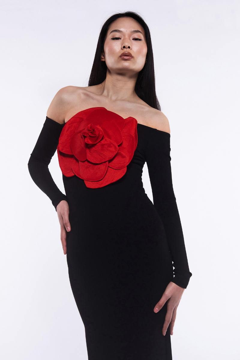 Beautifully Balanced Dress with Timeless Character