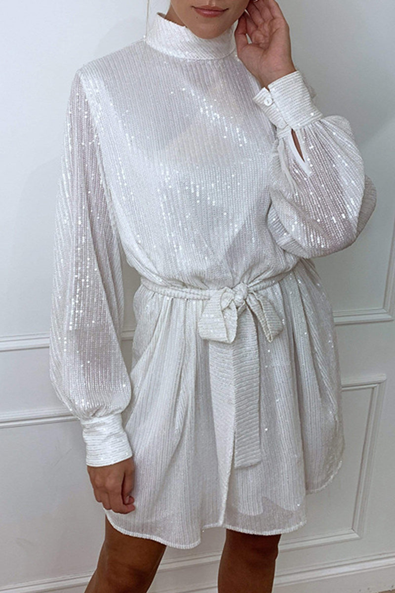 Sophisticated Dress with a Clean Classic Look