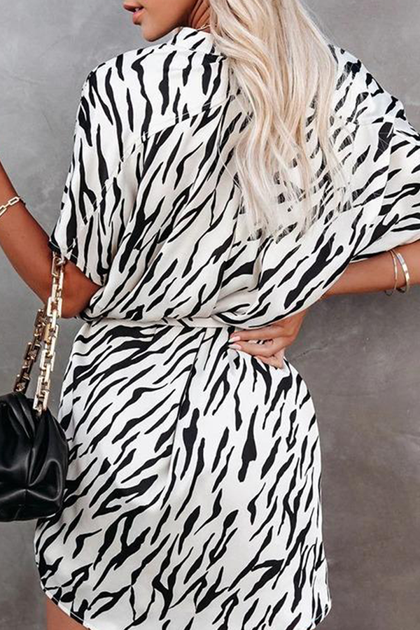 Polished Dress with an Effortless Classic Look