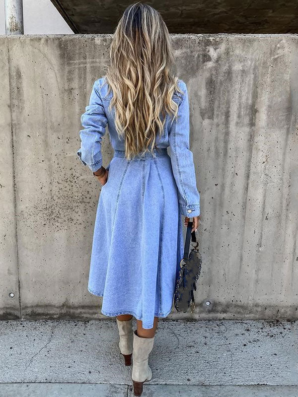 Sophisticated Dress with a Clean Classic Look
