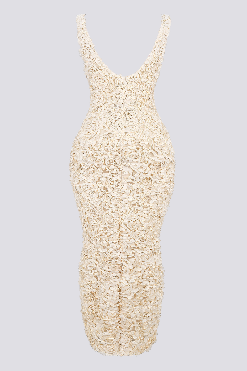 Gracefully Styled Dress for Any Occasion