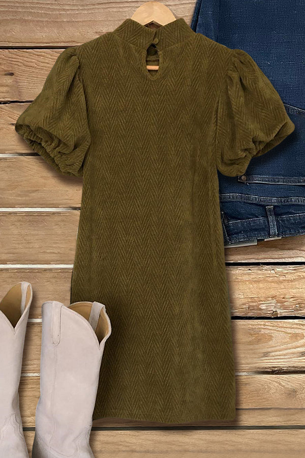 Sophisticated Dress with a Clean Classic Look