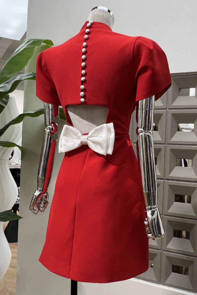 Beautifully Crafted Dress in a Classic Style