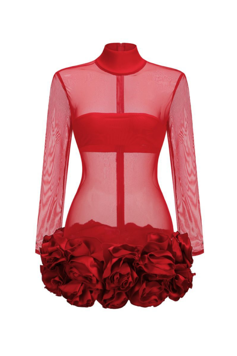 Gracefully Styled Dress for Any Occasion