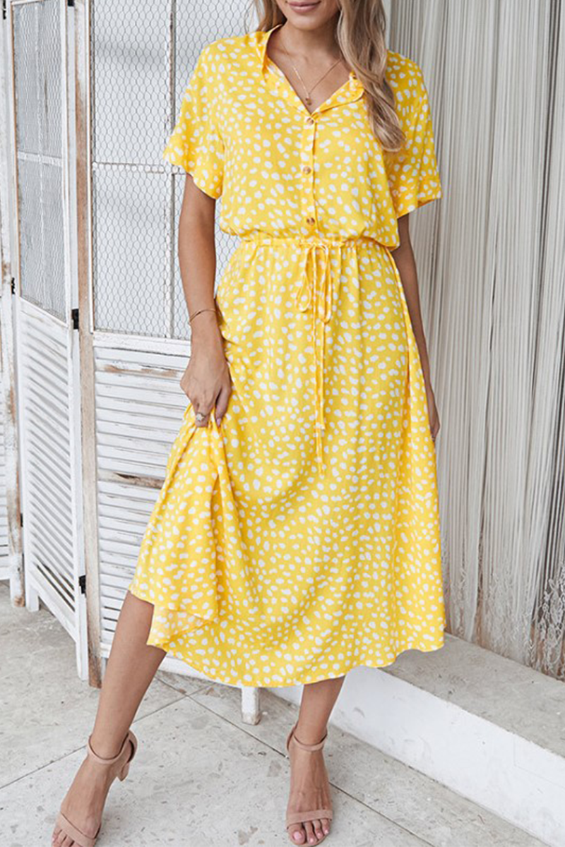 Elegantly Styled Dress for Everyday Wear