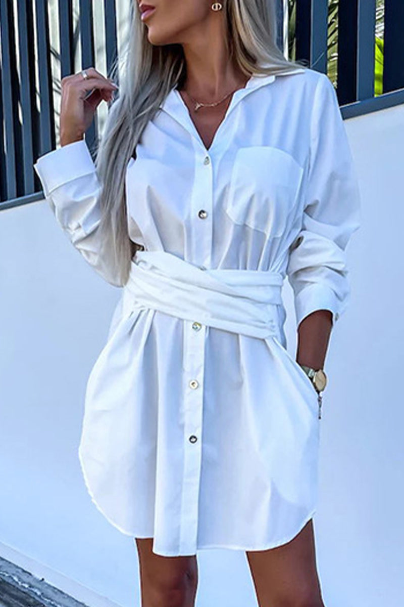 Well Tailored Dress with a Graceful Silhouette