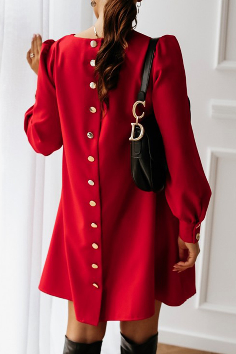 Elegantly Styled Dress for Everyday Wear