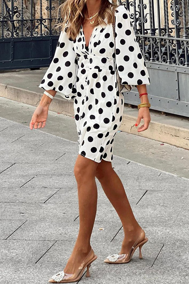 Sophisticated Dress with a Clean Classic Look
