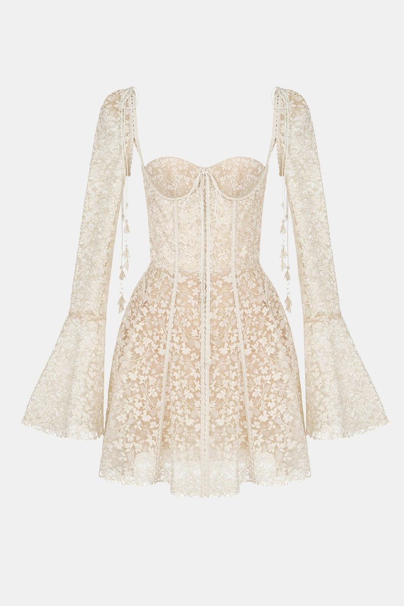 Gracefully Styled Dress for Any Occasion