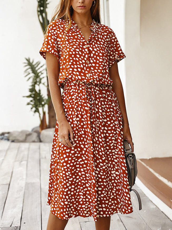 Well Tailored Dress with a Graceful Silhouette