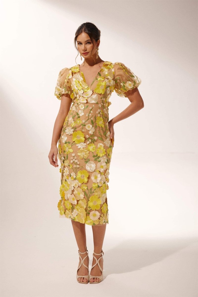 Beautifully Finished Dress in a Timeless Design