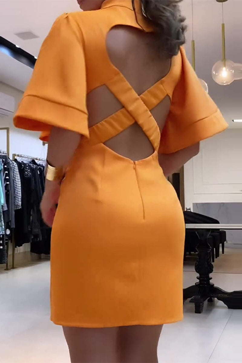 Gracefully Styled Dress for Any Occasion