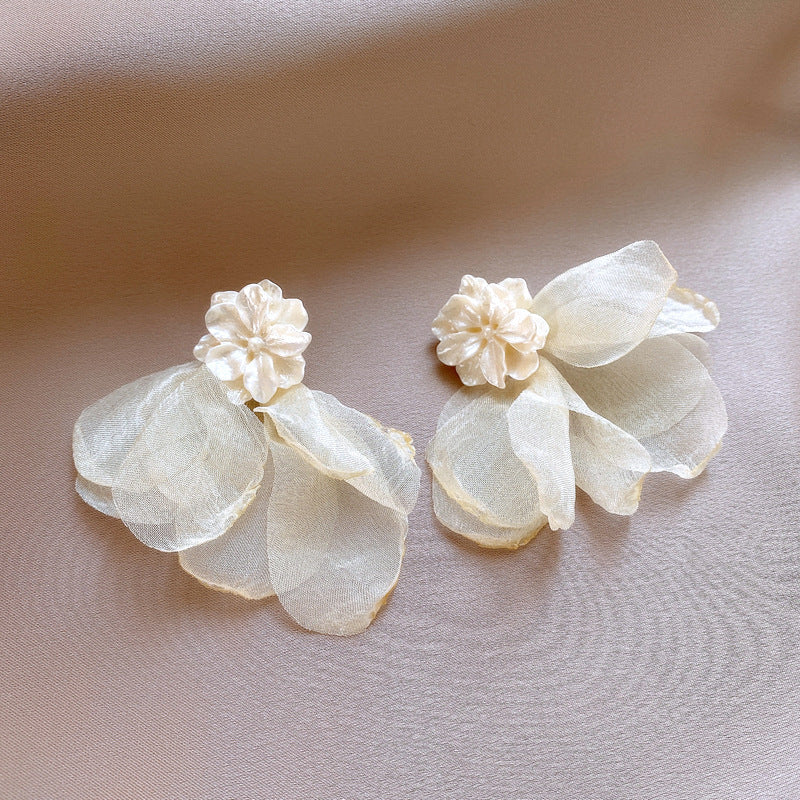 Beautiful Silver Earring with Unique Style