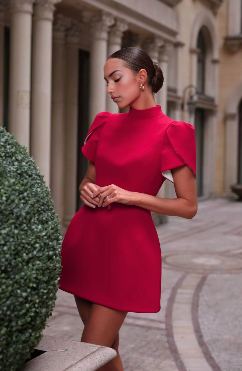 Sophisticated Dress with a Clean Classic Look