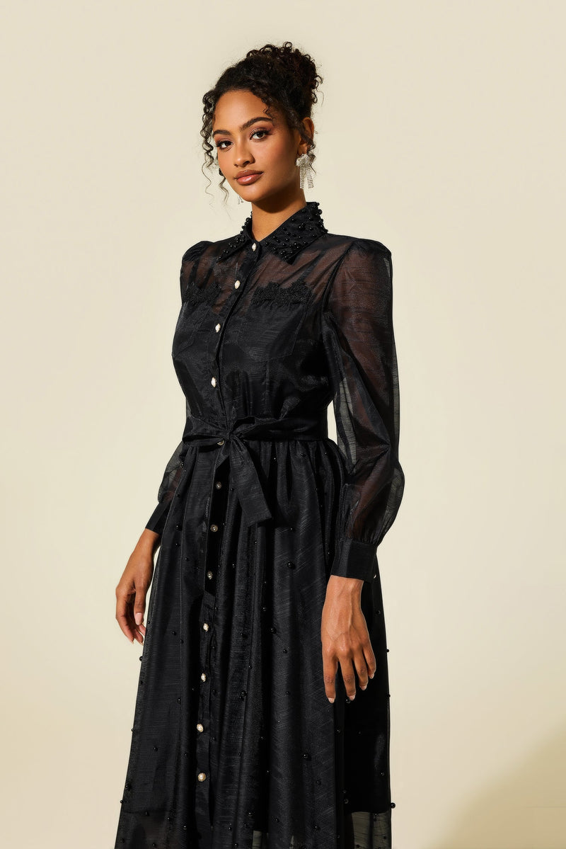 Beautifully Balanced Dress with Timeless Character