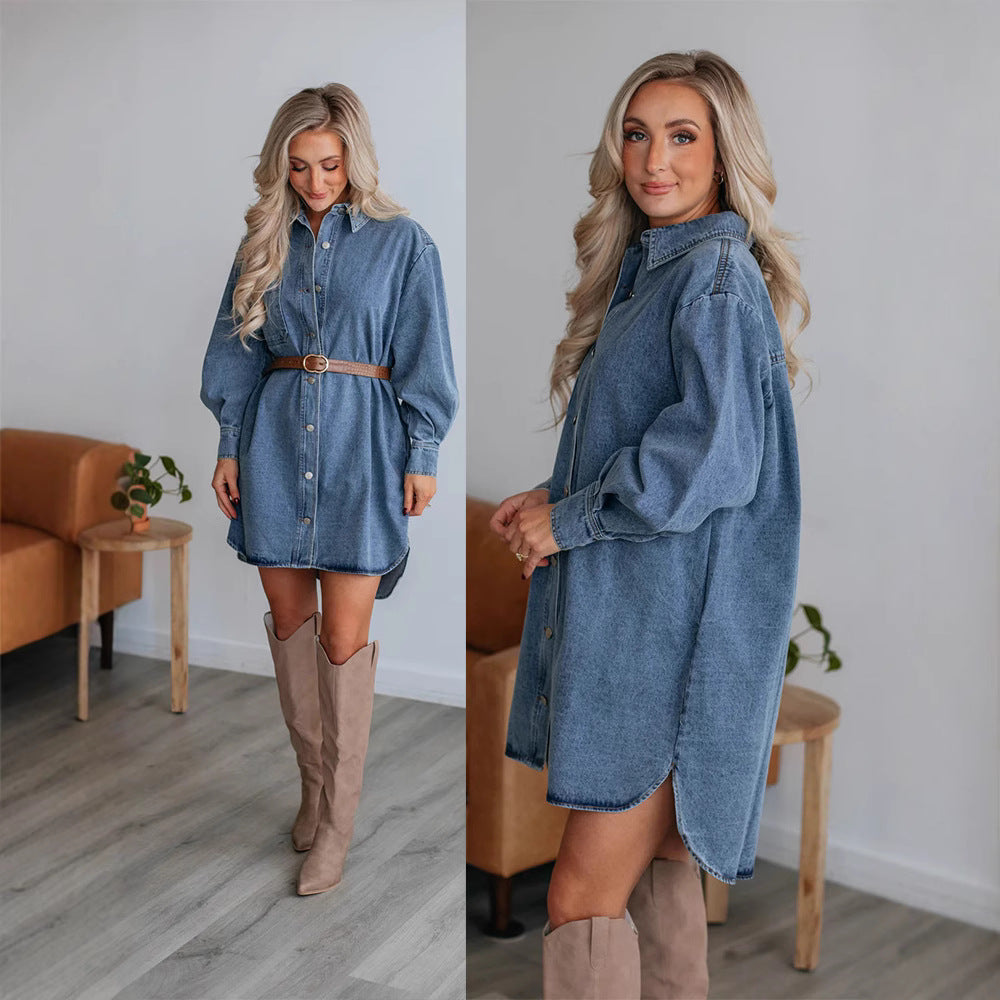 Sophisticated Dress with a Clean Classic Look