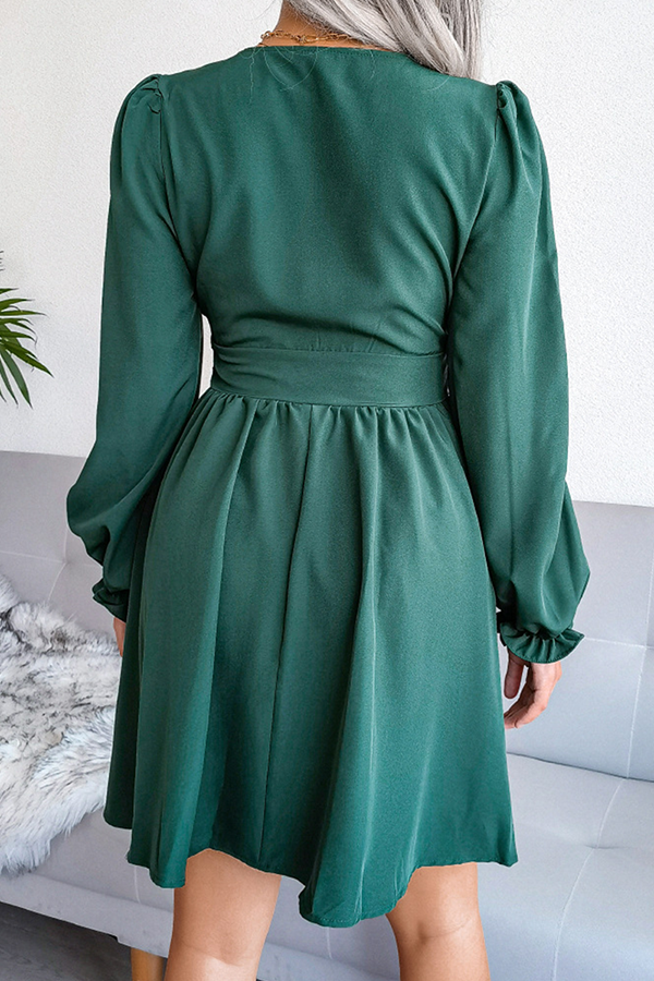 Sophisticated Dress with a Clean Classic Look