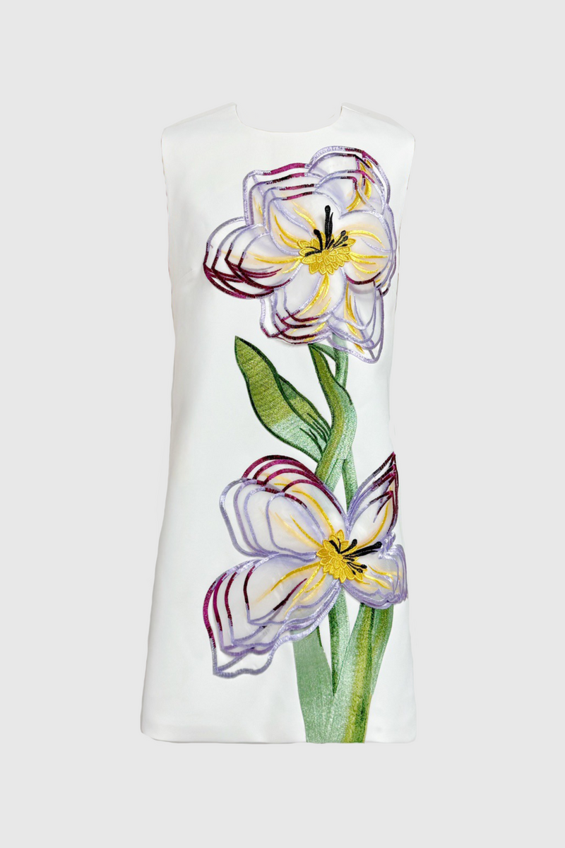 Beautifully Balanced Dress with Timeless Character