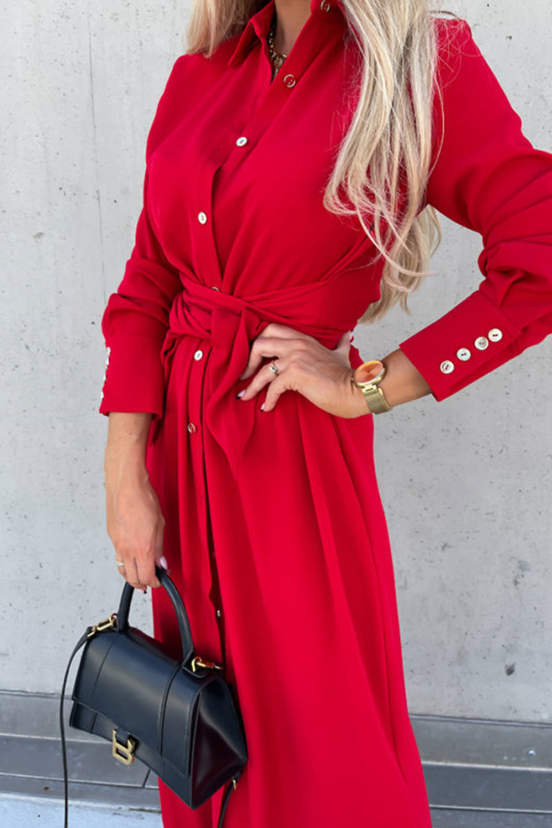 Classic Vintage & Enduringly Stylish Dress