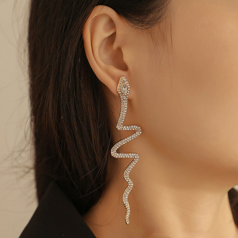 Charming Earring for Any Occasion