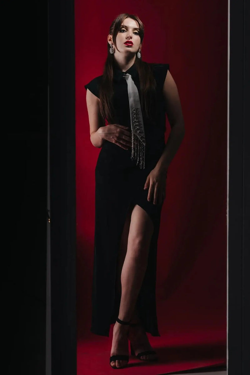 Sophisticated Dress with a Clean Classic Look