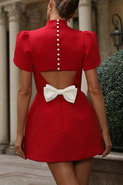 Classic Vintage & Enduringly Stylish Dress