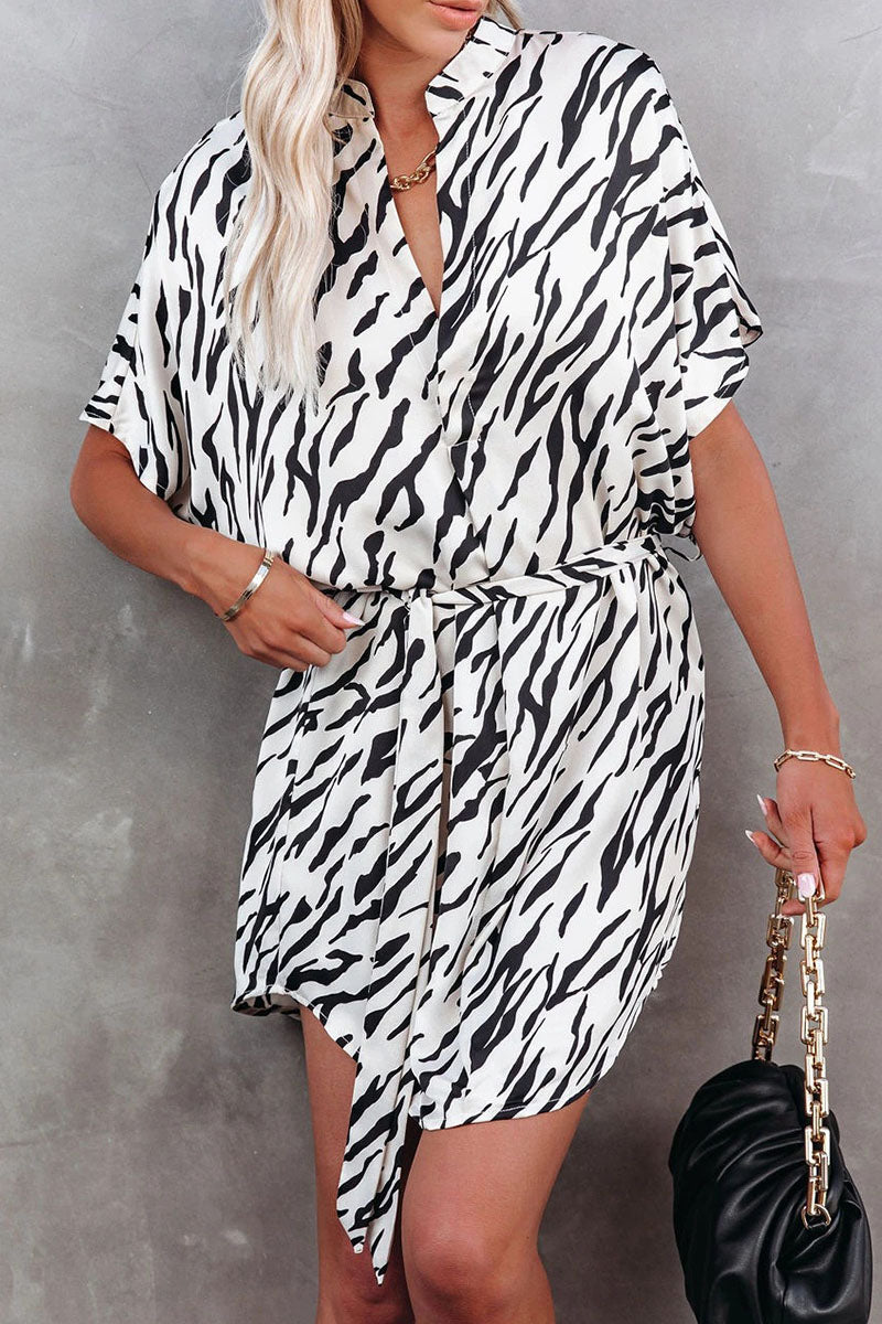 Sophisticated Dress with a Clean Classic Look