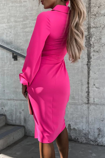 Well Tailored Dress with a Graceful Silhouette