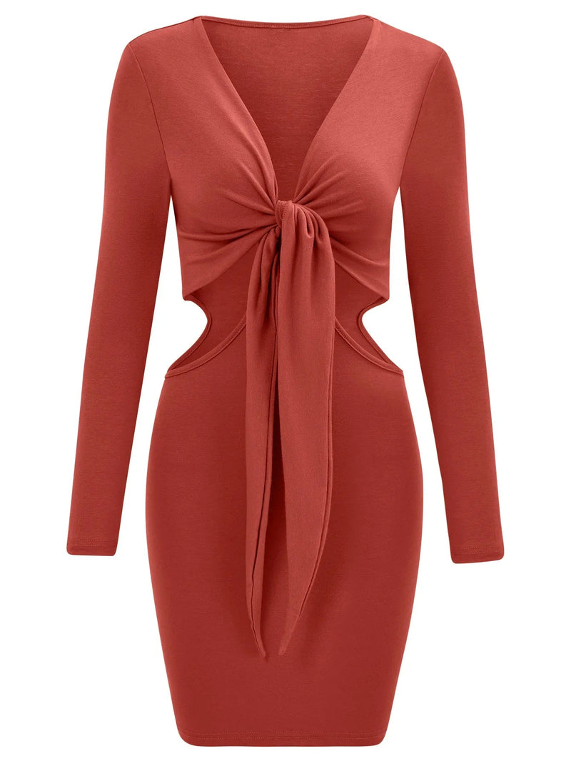 Sophisticated Dress with a Clean Classic Look