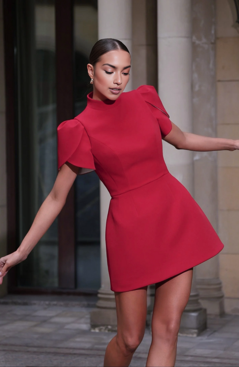 Sophisticated Dress with a Clean Classic Look