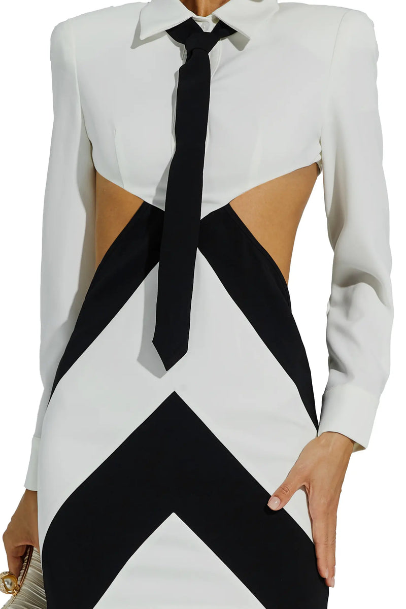 Well Tailored Dress with a Graceful Silhouette