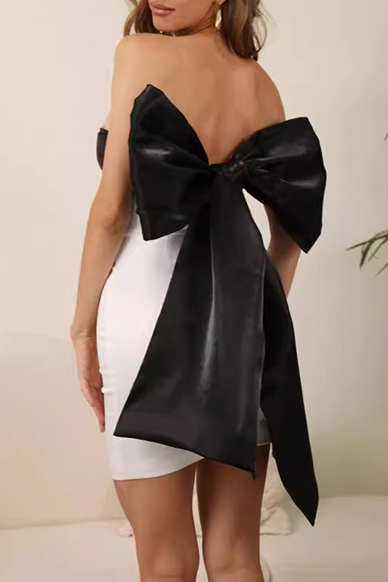 Sophisticated Dress with a Clean Classic Look