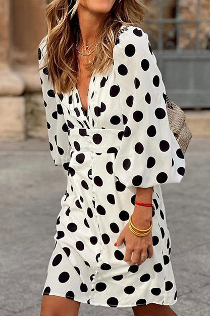 Sophisticated Dress with a Clean Classic Look
