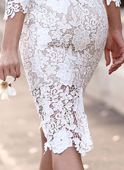 Sophisticated Dress with a Clean Classic Look