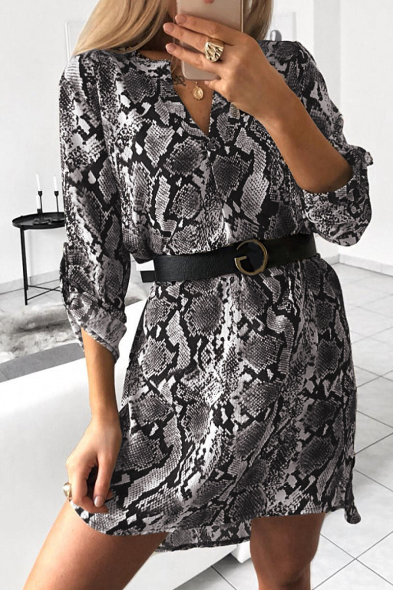 Beautifully Balanced Dress with Timeless Character