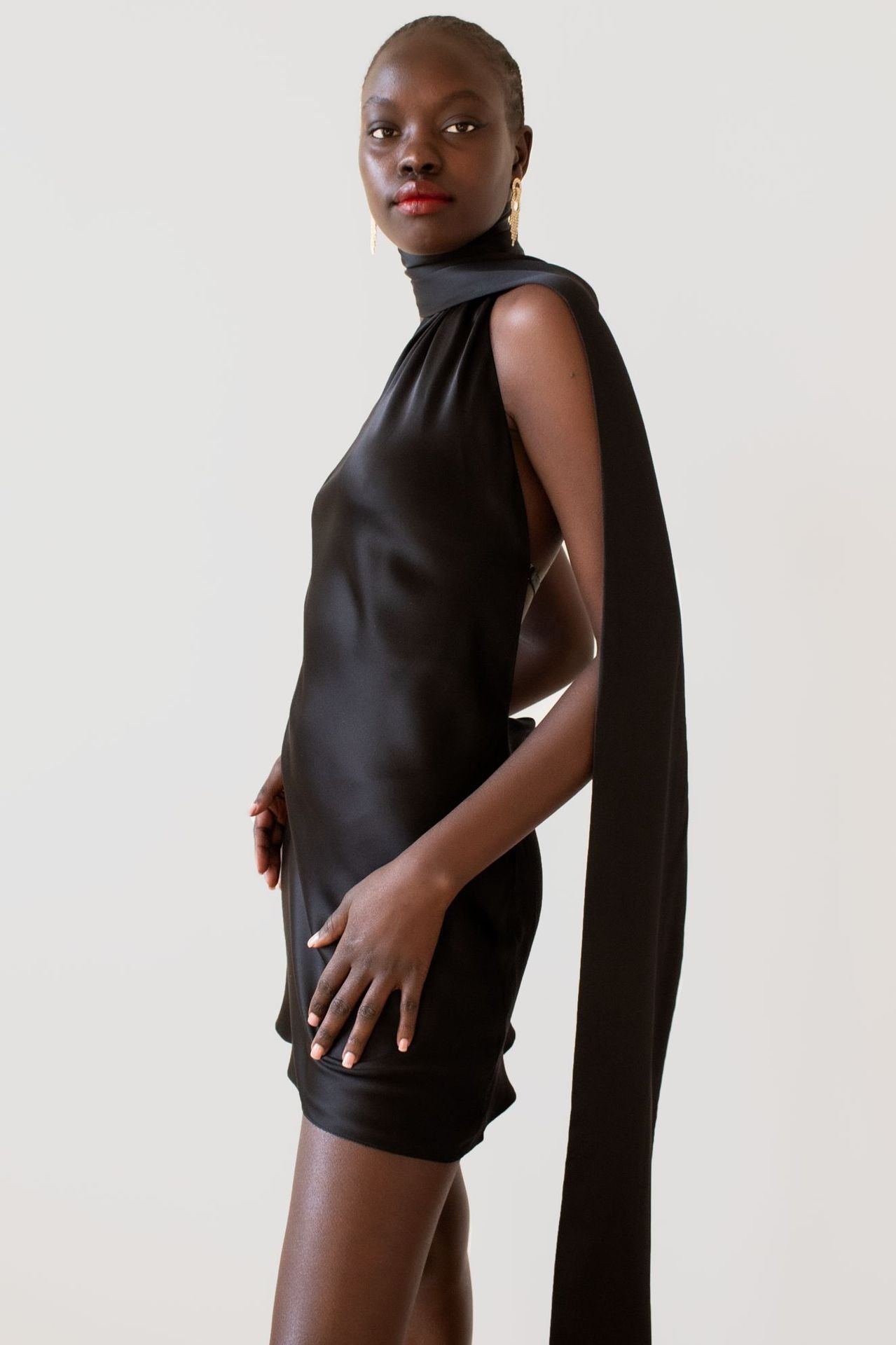 Classic Vintage & Enduringly Stylish Dress