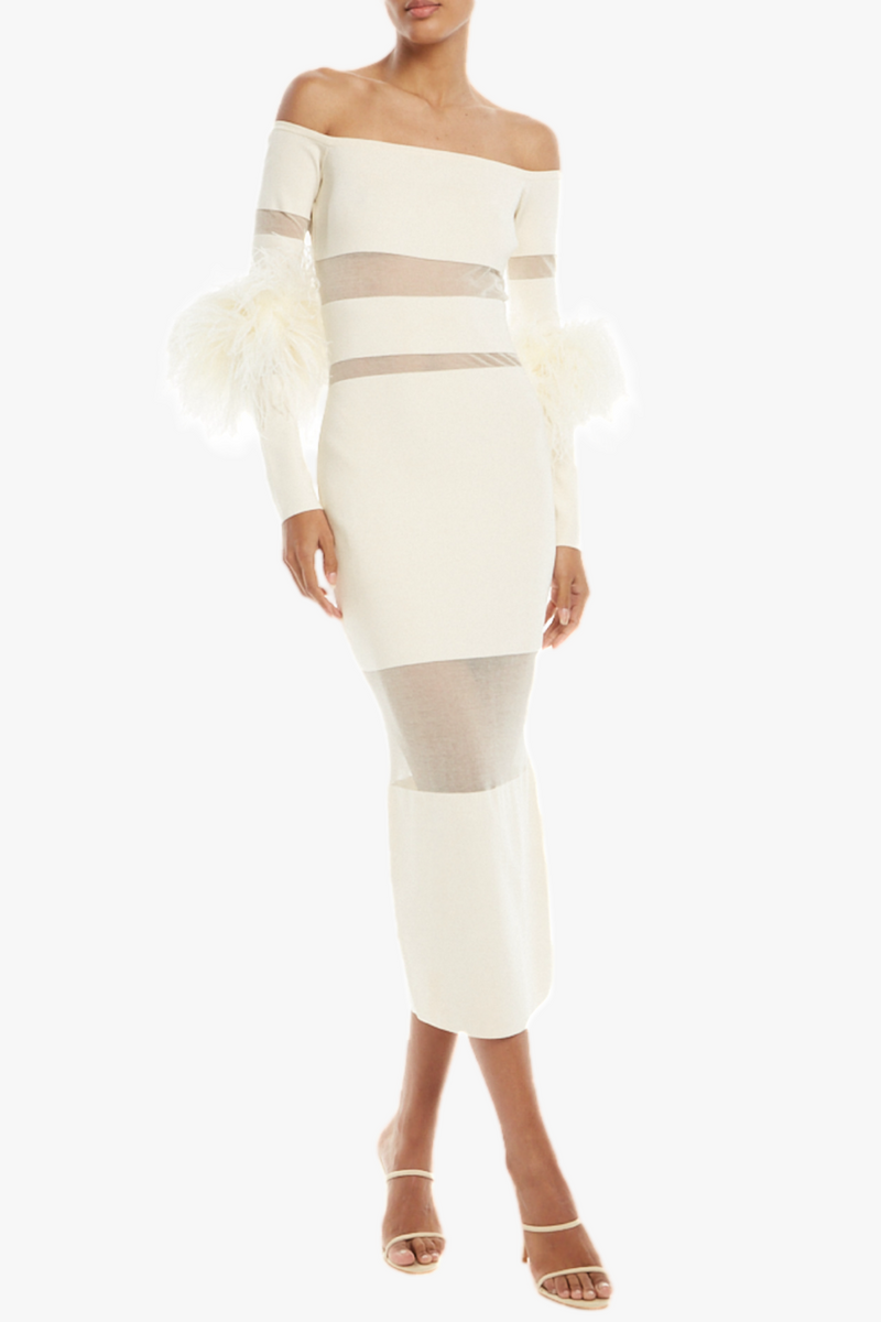 Gracefully Styled Dress for Any Occasion