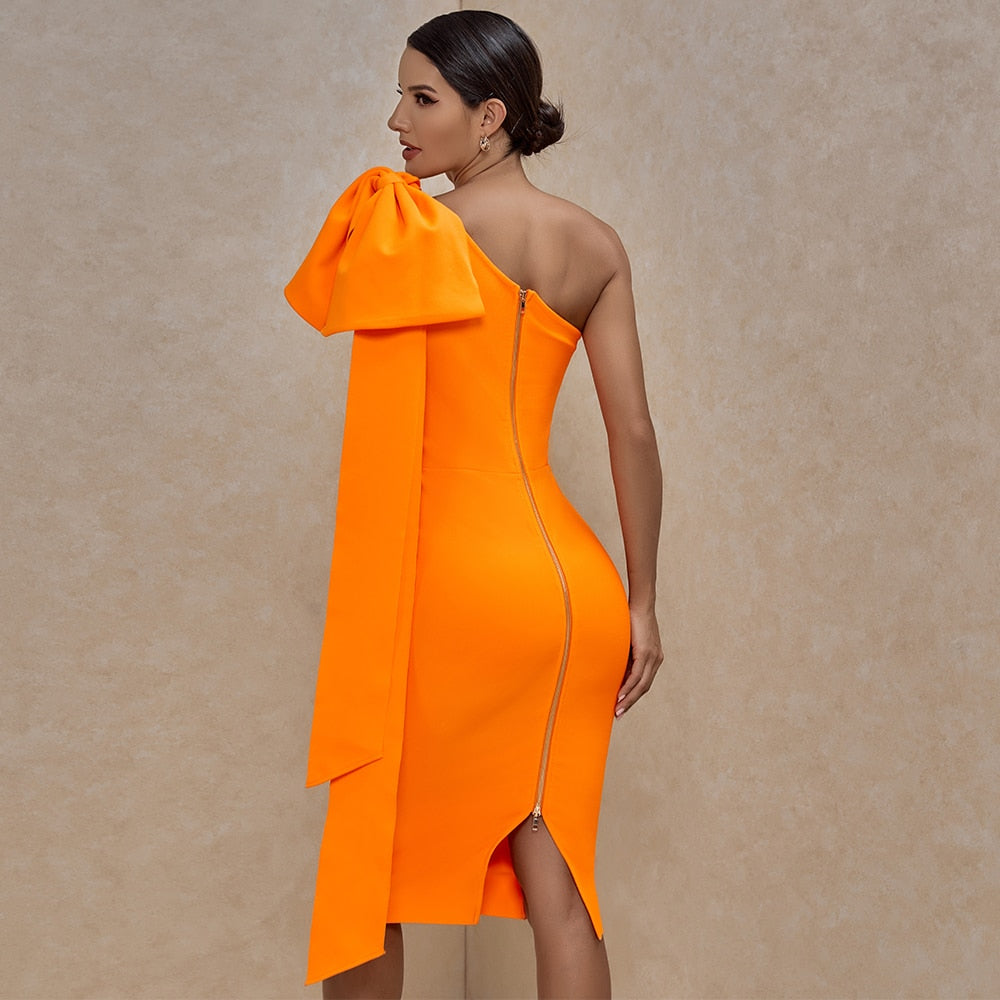 Beautifully Balanced Dress with Timeless Character
