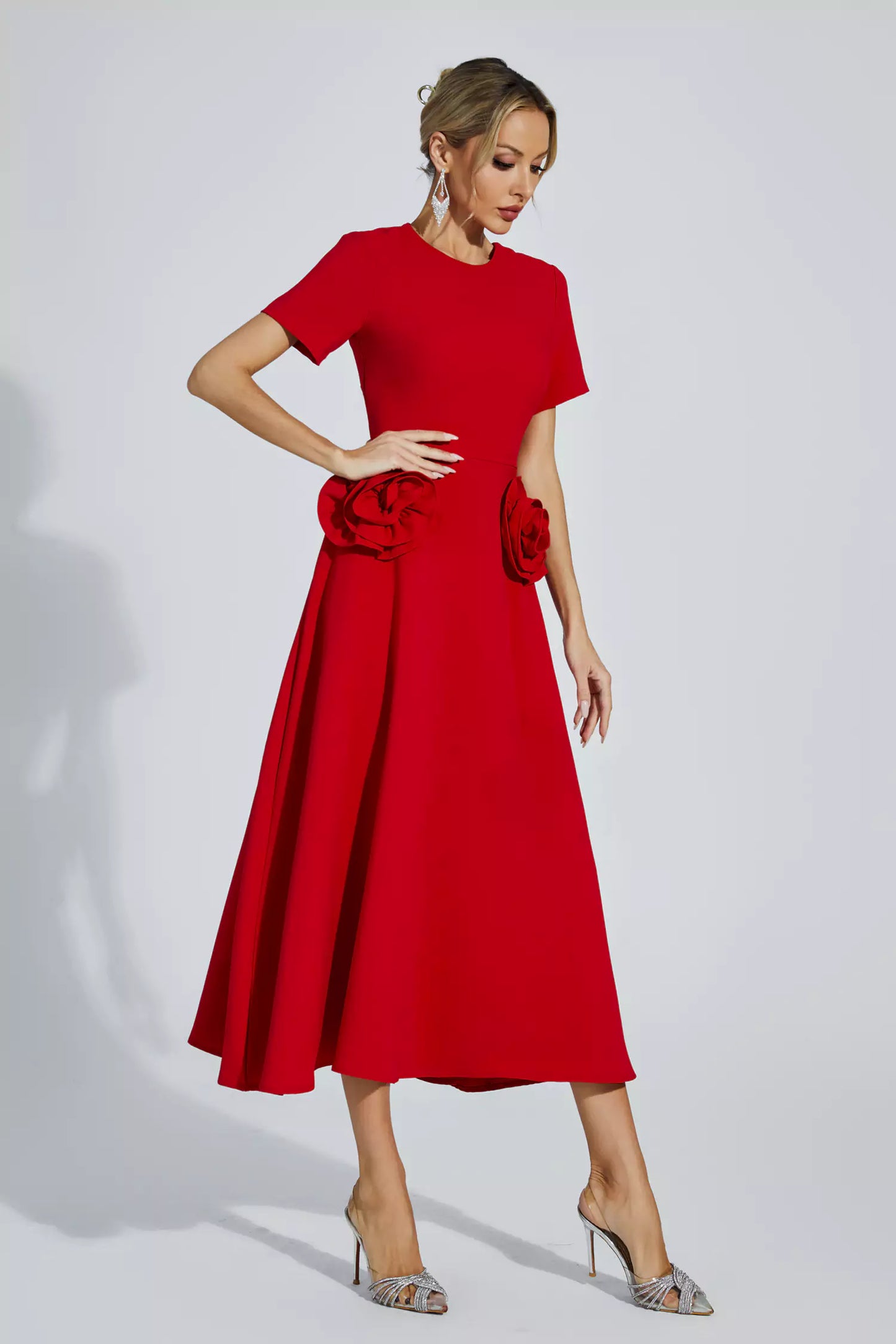 Sophisticated Dress with a Clean Classic Look