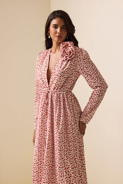 Gracefully Styled Dress for Any Occasion