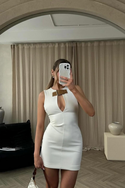 Sophisticated Dress with a Clean Classic Look