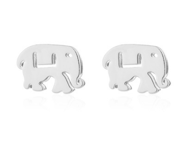 Earrings sliver