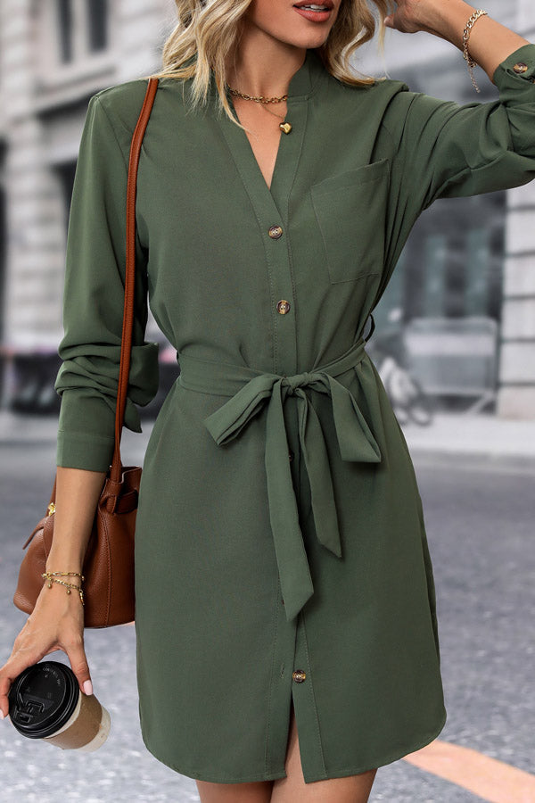Sophisticated Dress with a Clean Classic Look