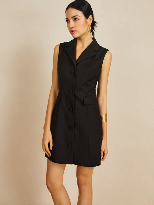 Sophisticated Dress with a Clean Classic Look