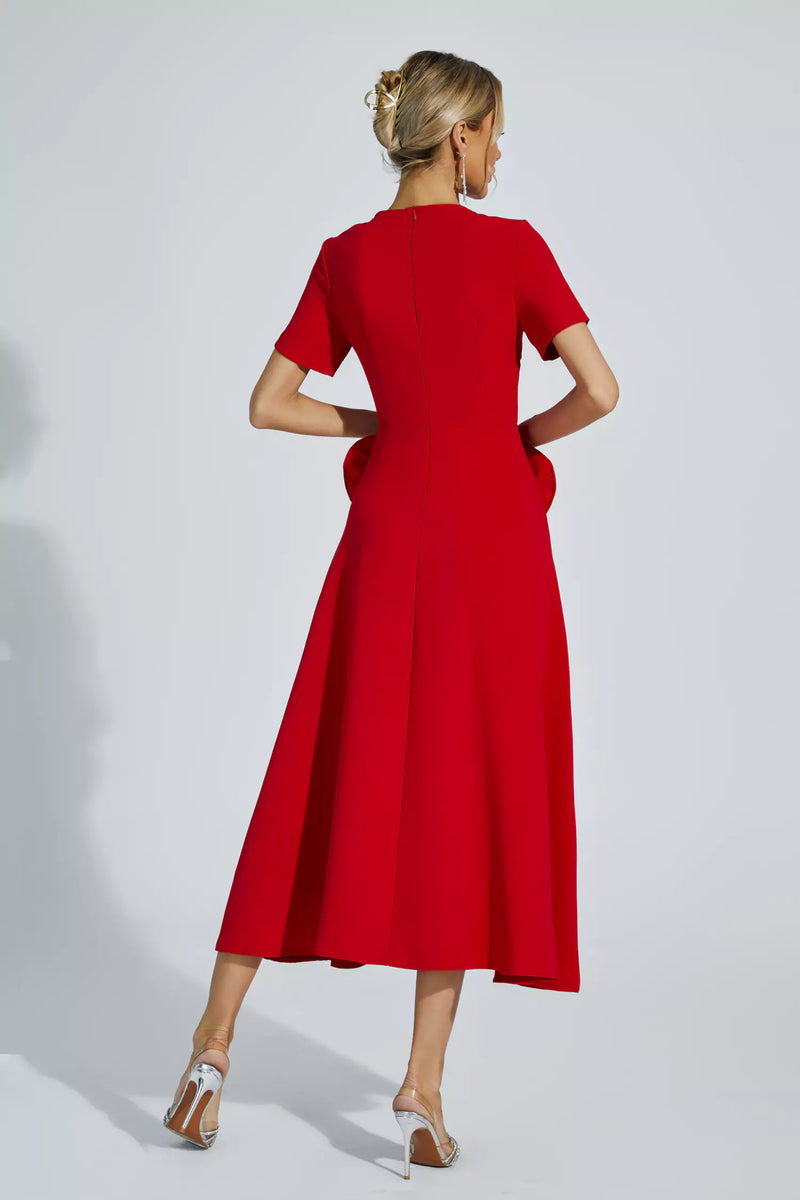 Sophisticated Dress with a Clean Classic Look