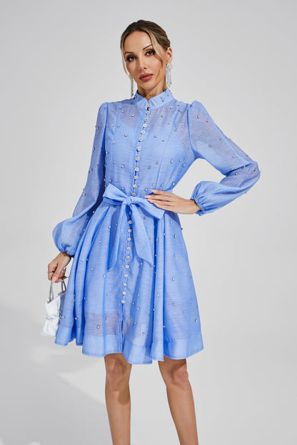 Sophisticated Dress with a Clean Classic Look