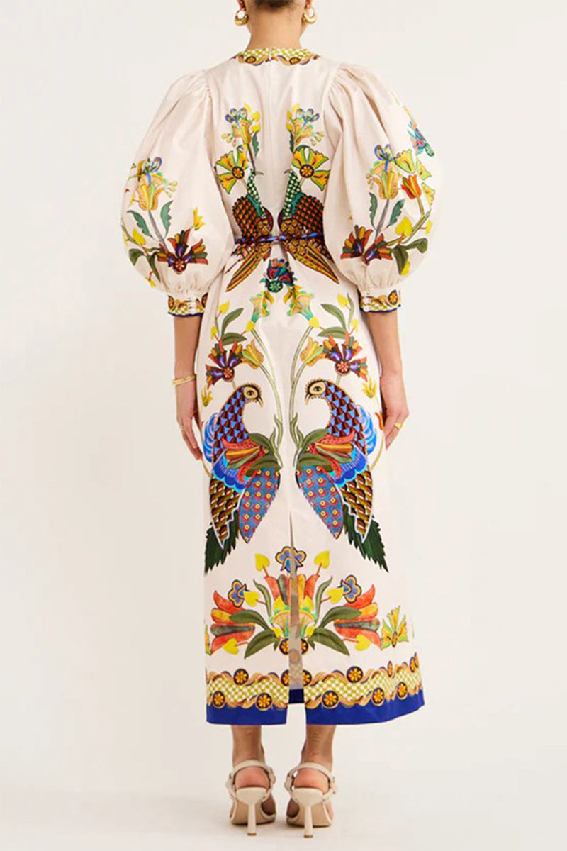 Gracefully Styled Dress for Any Occasion