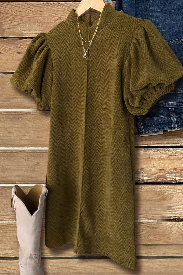 Sophisticated Dress with a Clean Classic Look