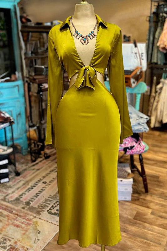 Sophisticated Dress with a Clean Classic Look