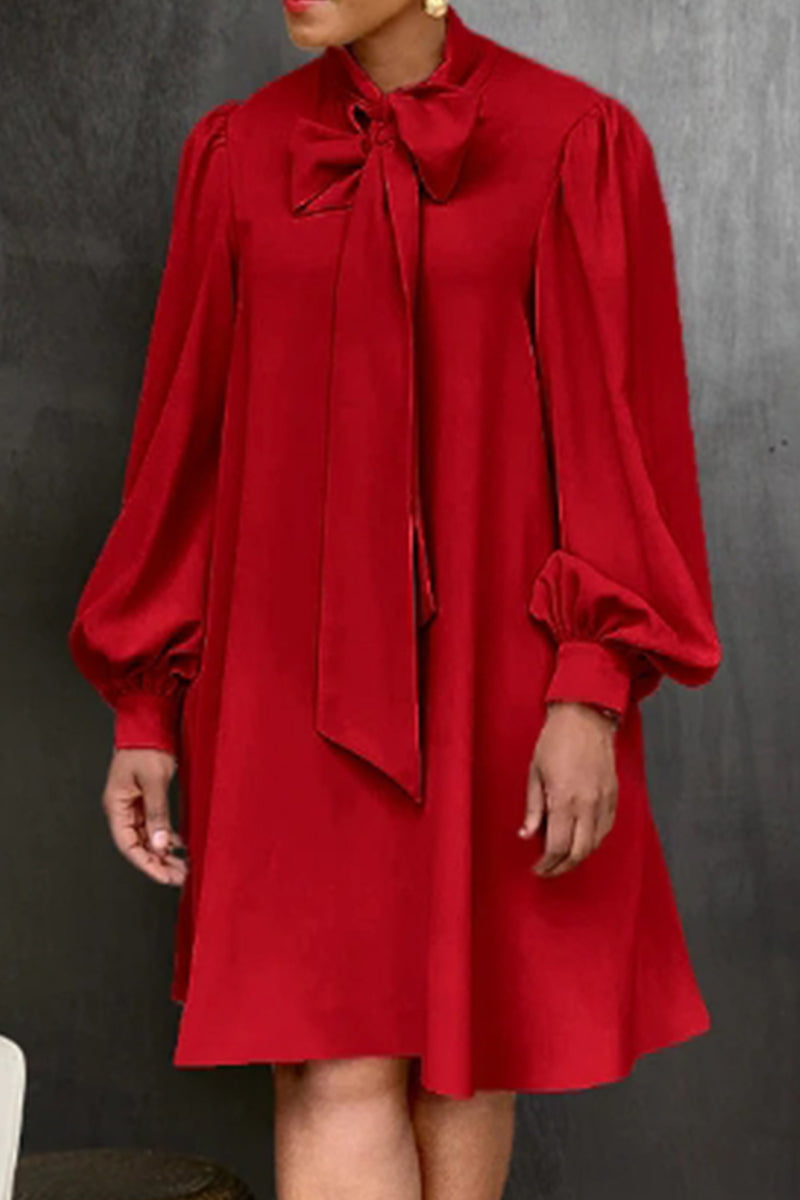 Well Tailored Dress with a Graceful Silhouette
